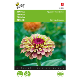 Zinnia Queeny Red Lime