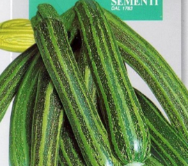 Courgette gestreept (Franci)