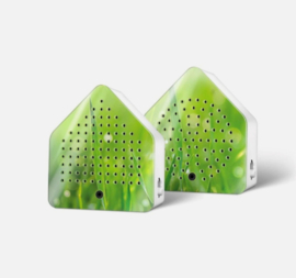Zirpy Box (set: krekel & sprinkhaan)