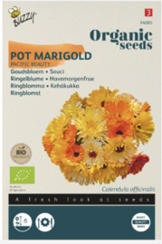 Goudsbloem enkelbloemig (Buzzy)