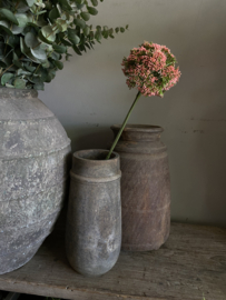Anise koraal | zalm 69 cm