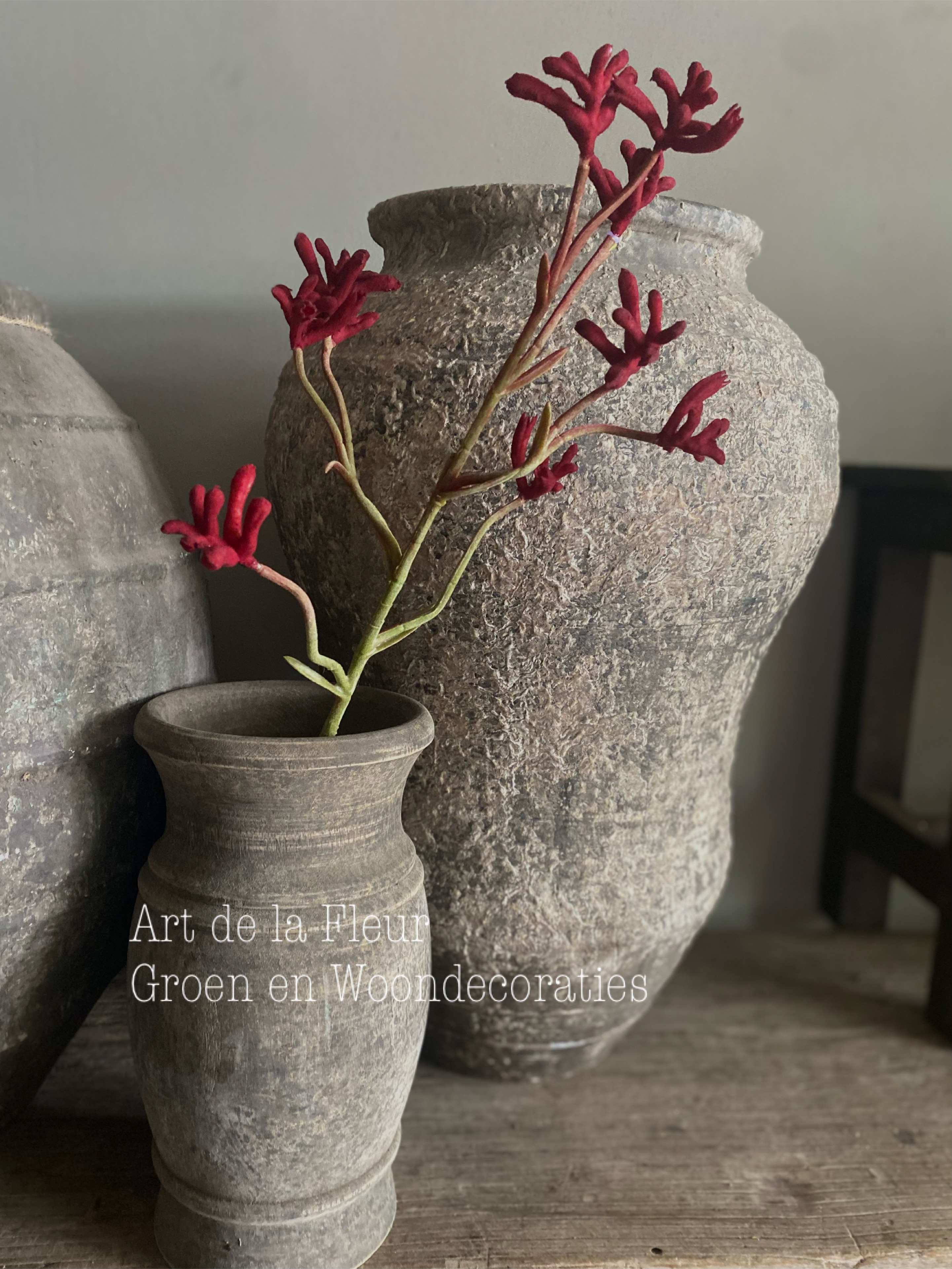 Kangoeroe pootje steel Donker Rood  71 cm
