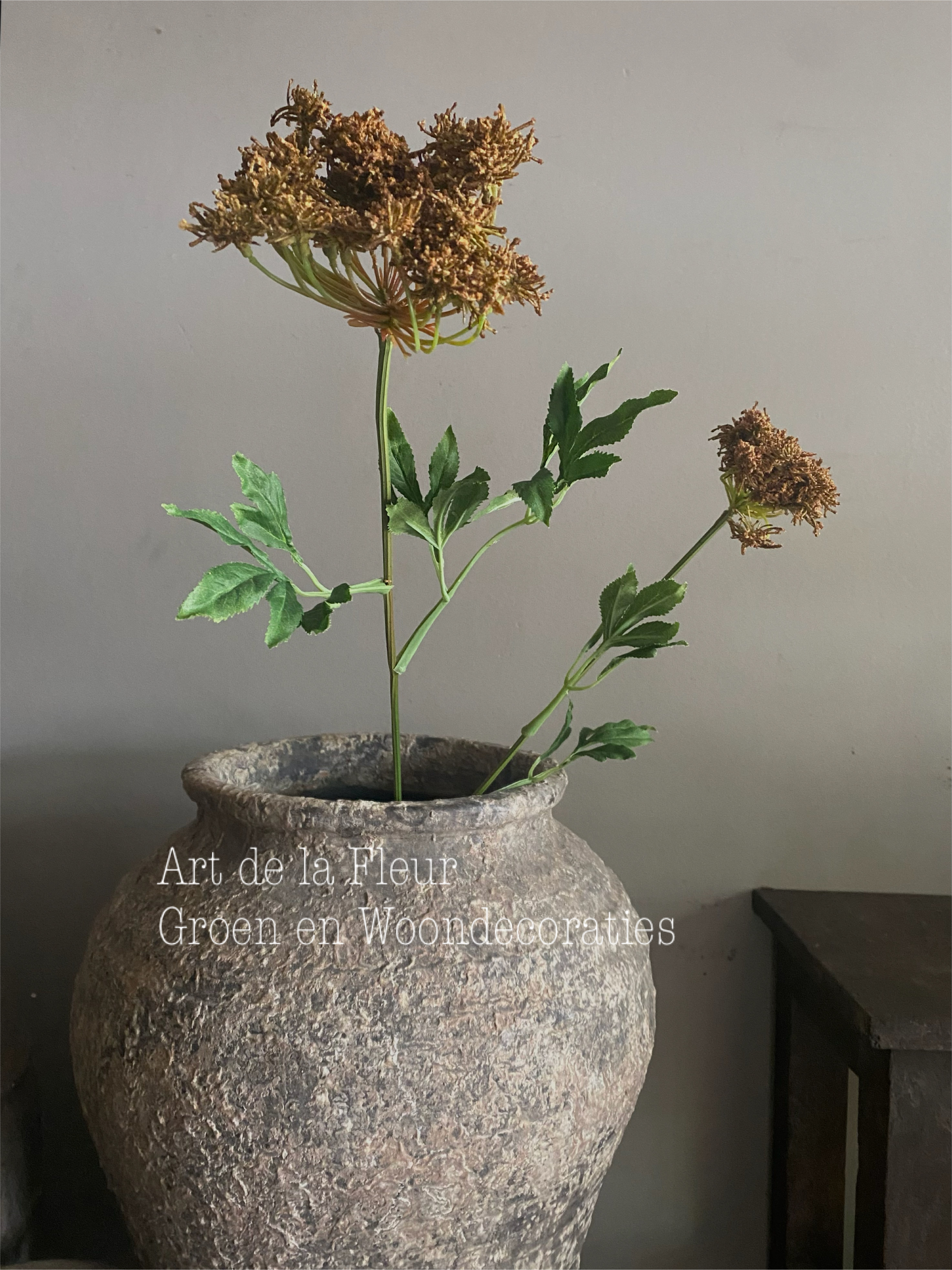 Queen Ann lace Bruin 90 cm