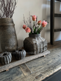 Parkiet Tulp ( per steel geprijsd ) incl takjes Gagel