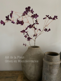 Floral stem 112 cm