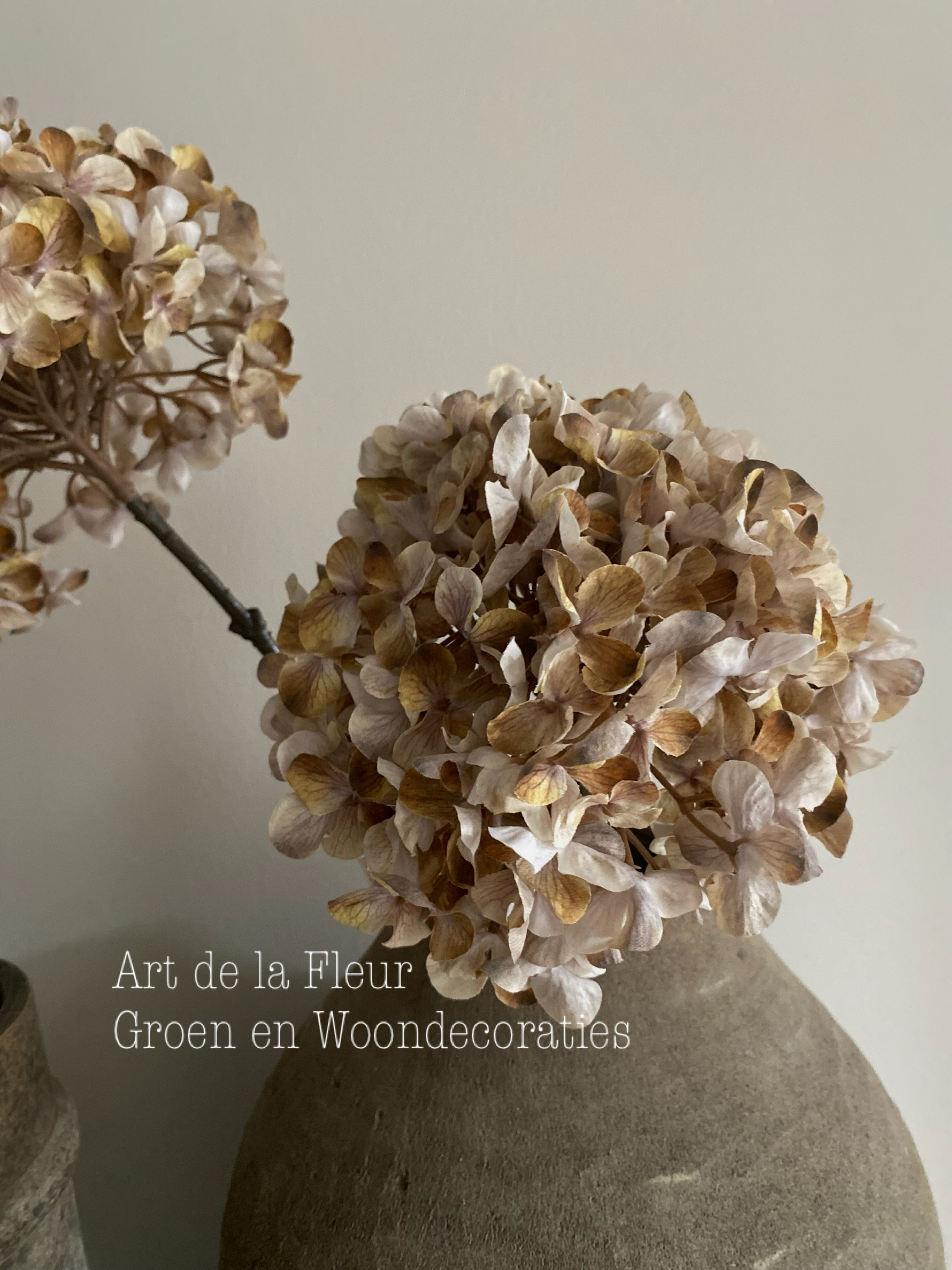 Hortensia light dried look 82 cm