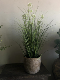 Kunstplant met lace flower 76 cm