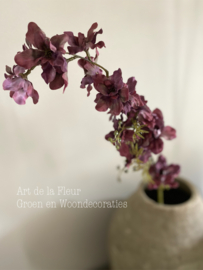 Delphinium 97 cm