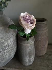 Roos 46 cm