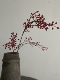 Rozenbottel tak 100 cm Rood