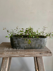 Beton pot cakevorm S 28 x 10 x 9