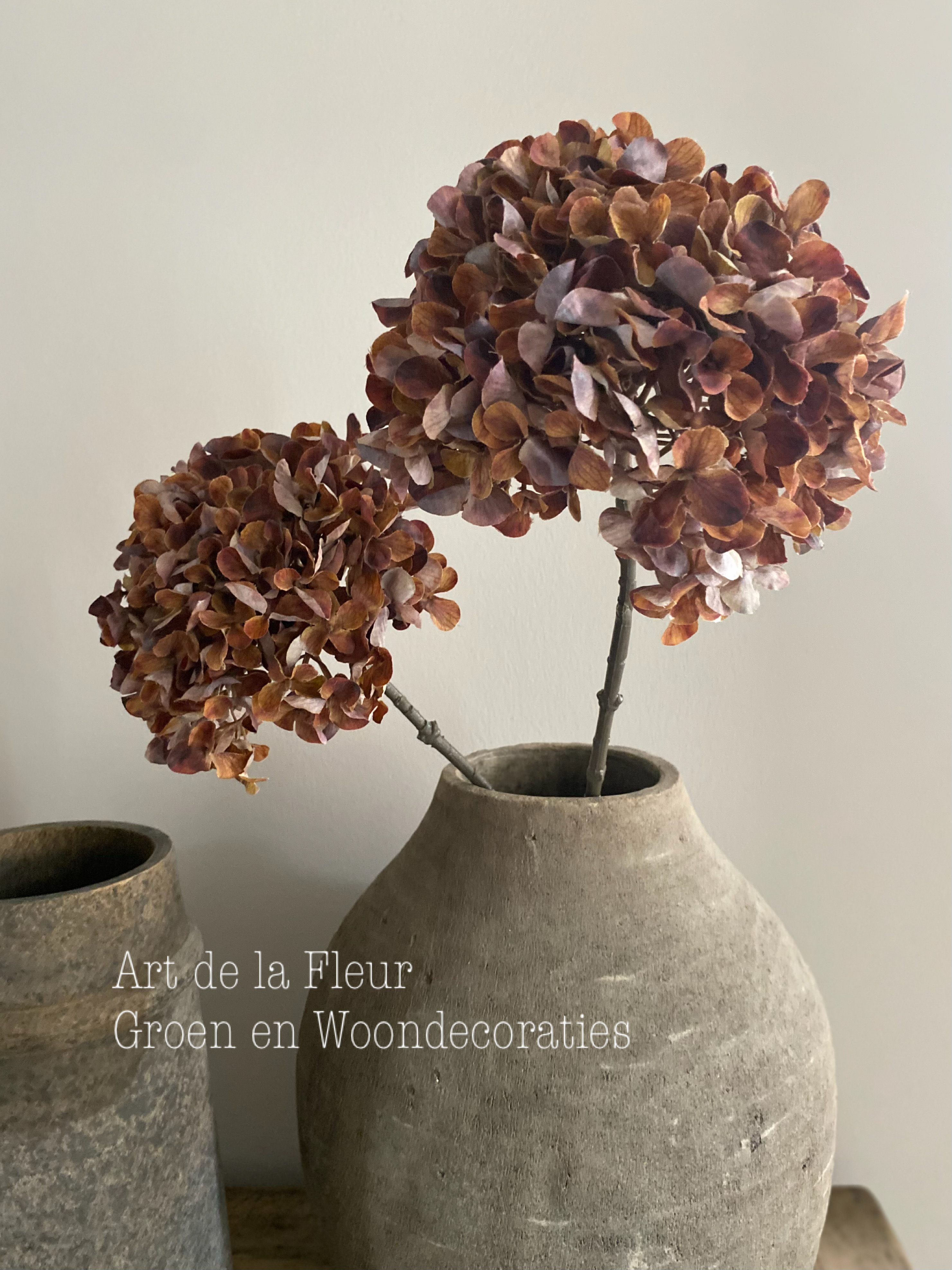 Hortensia Dark dried look 82 cm