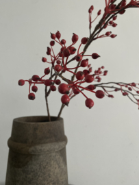 Rozenbottel tak 100 cm Rood