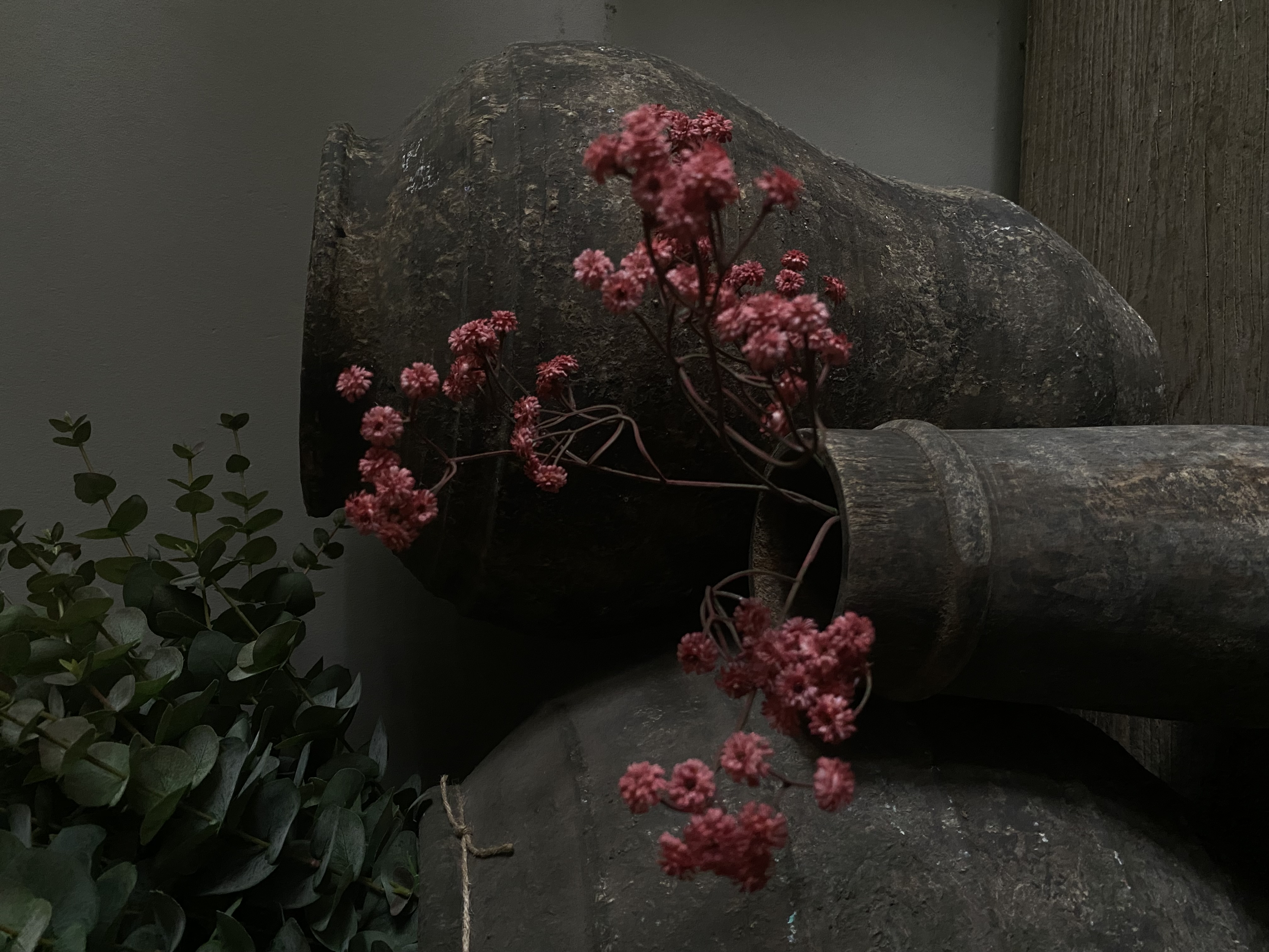 Gipskruid donker roze