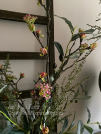 Bloesem boeket roze kunst