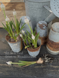 Oude Franse zinken potjes