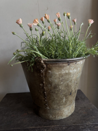 Oud uitziende emmer  I 30 x 25