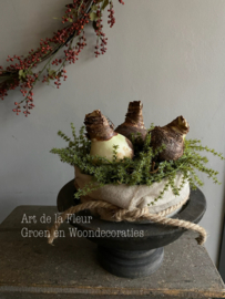 Taartje | Met bakkersdoek en 3 Amaryllis bollen 20 cm ( kunst Asparagus )