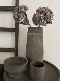 Hortensia Alletta 14 x 14 x 40 purper gemêleerd