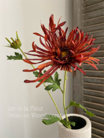 Spin Chrysant diep Oranje 72cm 1 knop , 1 bloem