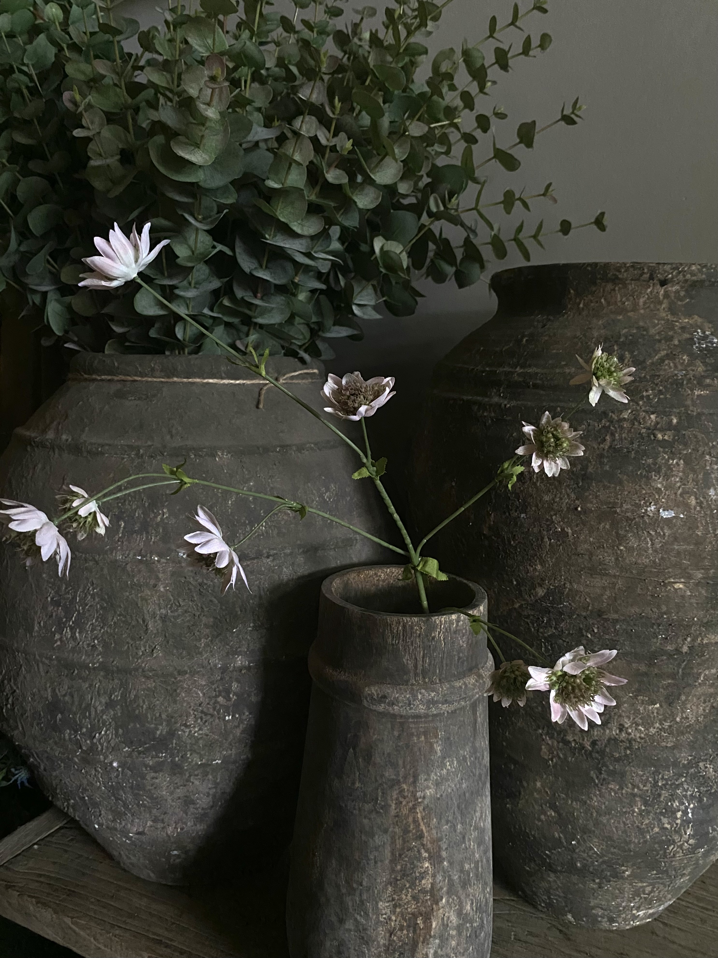 Astrantia licht roze 73 cm