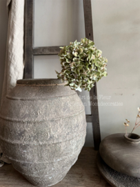 Hydrangea | Groen 65 cm