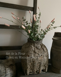 Subtiel samen gebonden takken Eucalyptus en Roze Pimpernel