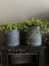 Zinken pot S incl 2 Nepeta links op de foto