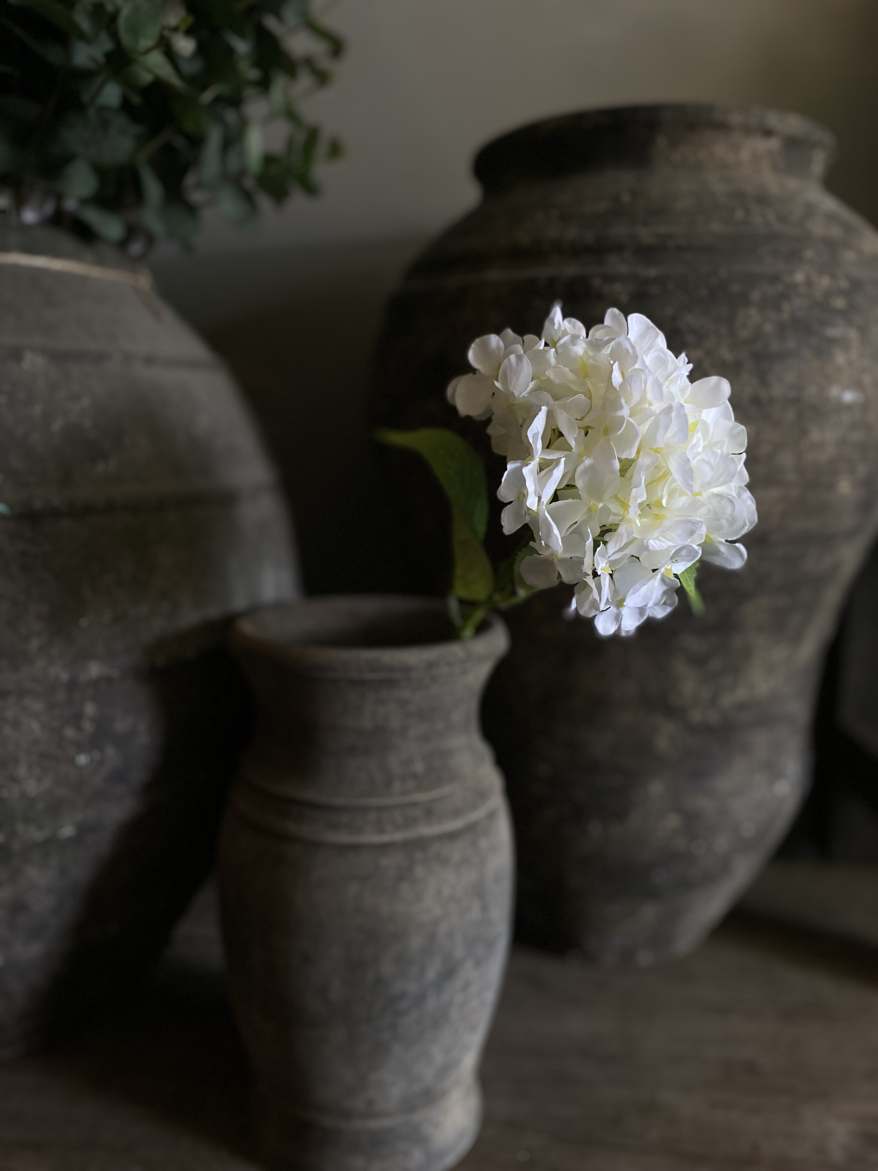 Hortensia wit 65 cm