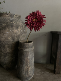 Gerbera double