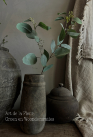 Eucalyptus seed spray 92 cm