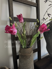 Samengesteld , XL Tulpen , Pimpernel en Gagel Fuchsia