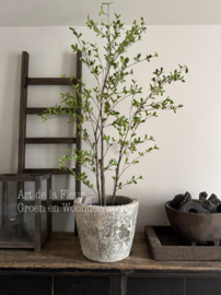 Kunst planten en boompjes