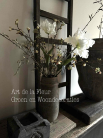 XL Papagaai Tulp white open  Nieuw