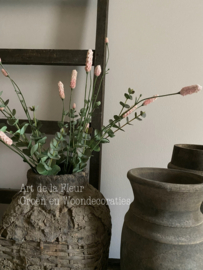 Subtiel samen gebonden takken Eucalyptus en Roze Pimpernel