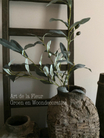 Olijf Grey 105 cm
