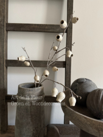 Eucalyptus Bells natural  86 cm