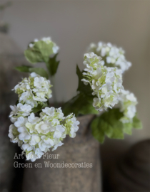 Steker mini Hortensia wit