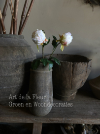 Pioen Wit 52 cm