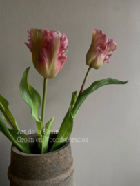 Papegaai tulp de luxe gemêleerd vlam  51 cm