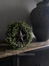 Berken kransje 30 cm met kunst Asparagus en ster
