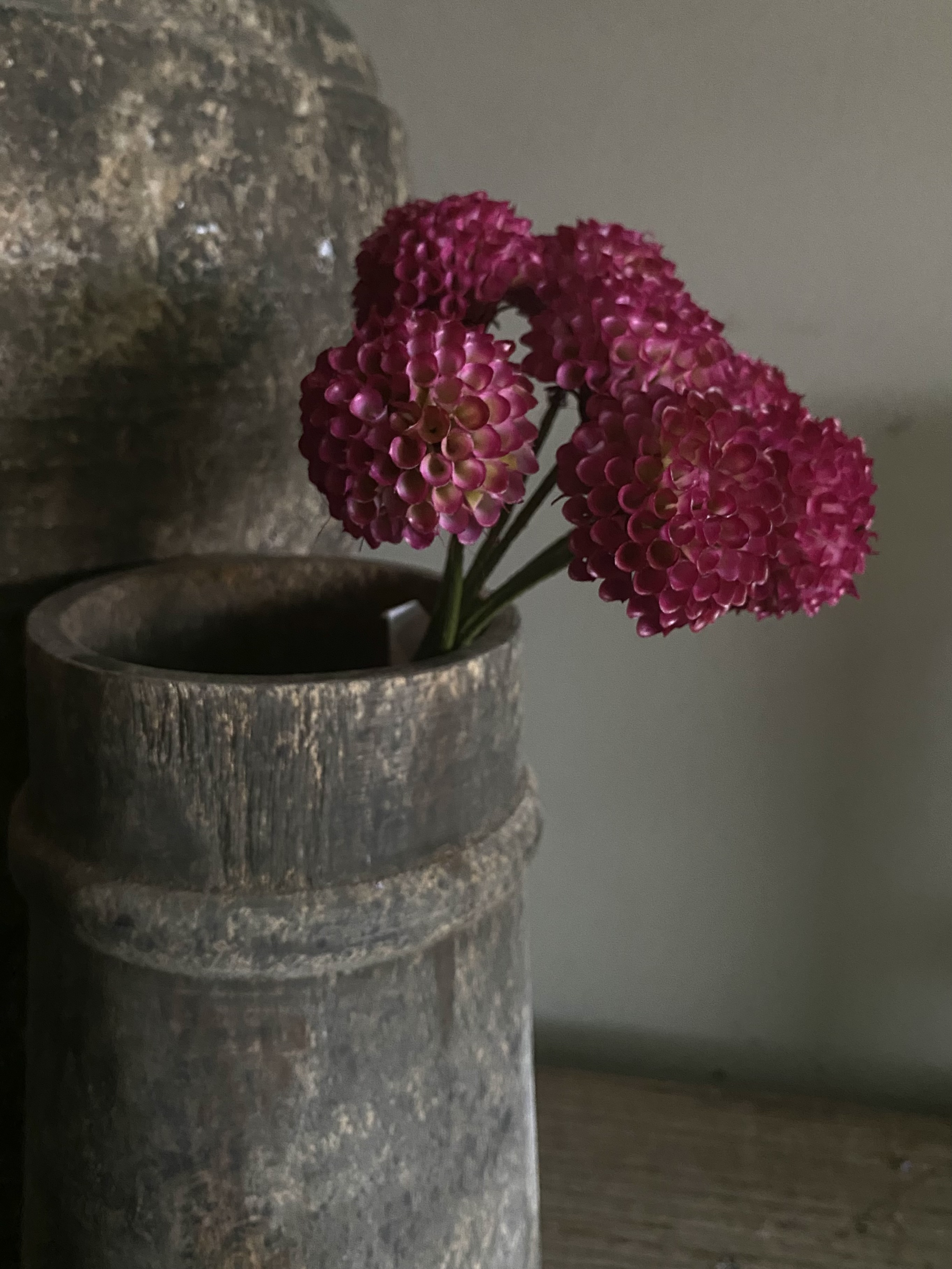 Mini Dhalia Pompom 27 cm bosje van 7