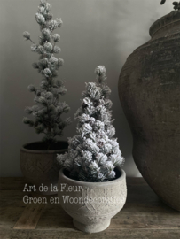 Pine kerstboom kunst 23 x 46 Sneeuw