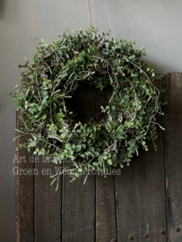 Krans van mos , Bonsai en kunst Eucalyptus 40 cm