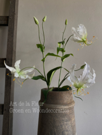 Gloriosa  Wit 86 cm