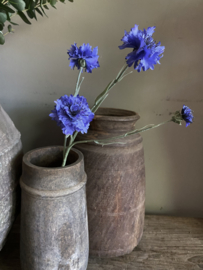 Korenbloem blauw 61 cm