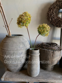 Allium groen | geel  86 cm