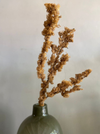 Moss Spray 80cm