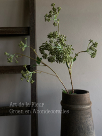 Angelica tak groen 90 cm