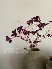 Floral stem 112 cm